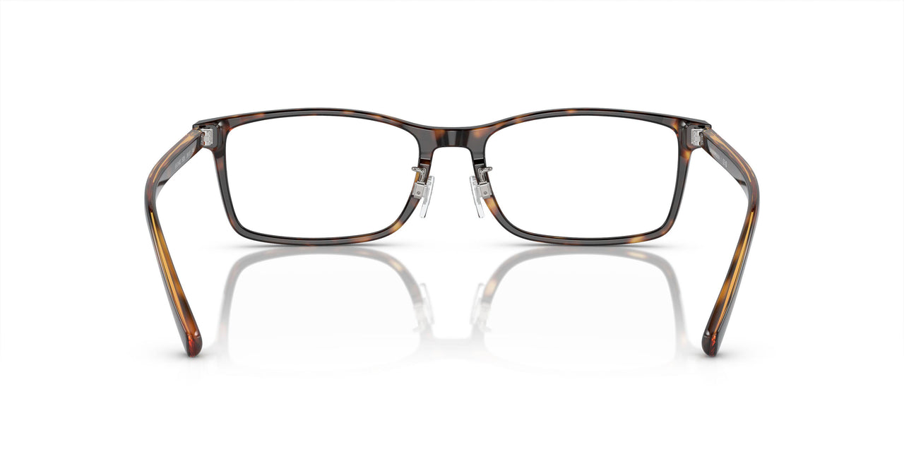 5026 - Tortoise