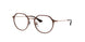 4092 - Brown - Clear