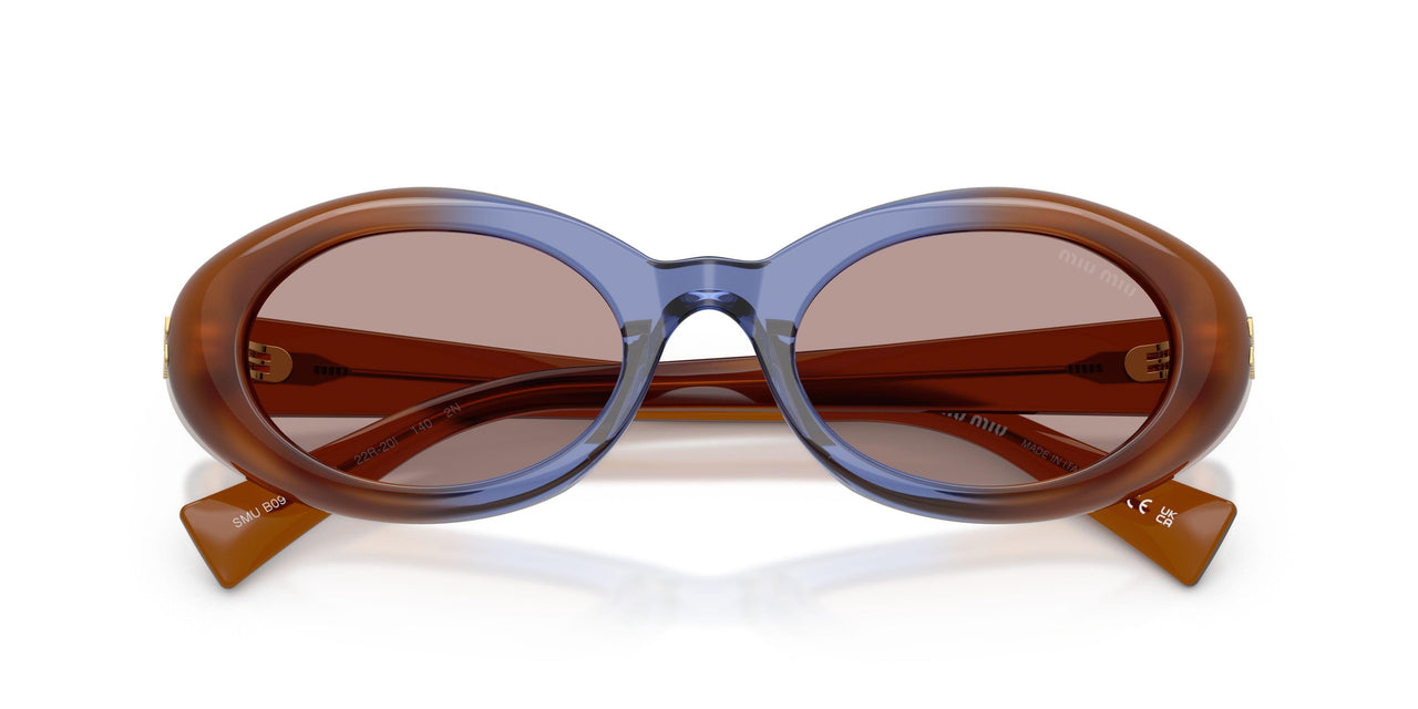 22R20I - Brown - Light Purple Brown