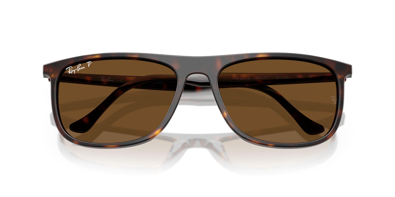 902/57 - Tortoise - Brown Polar