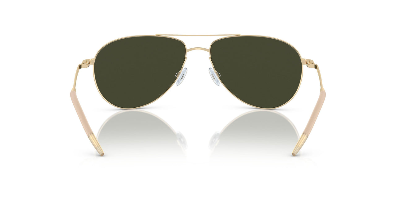 5035P1 - Gold - G15 Polar Vfx