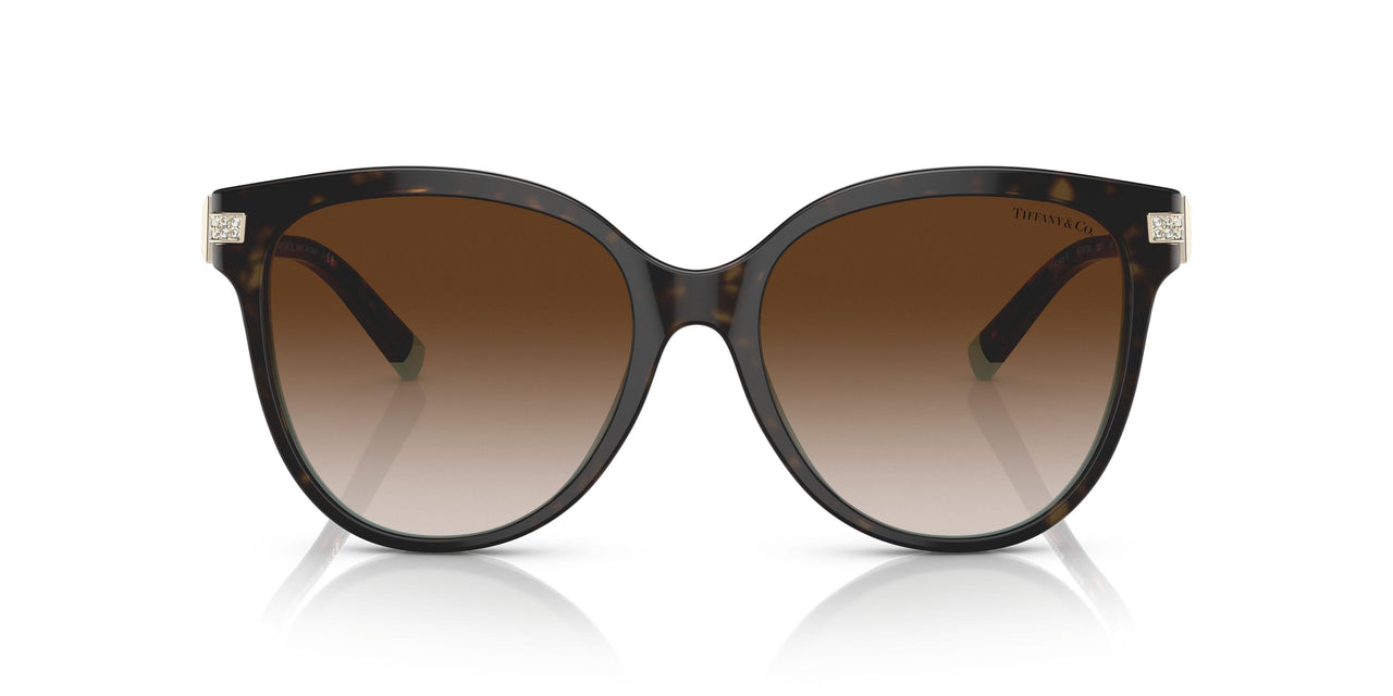81343B - Havana - Brown Gradient