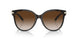 81343B - Havana - Brown Gradient