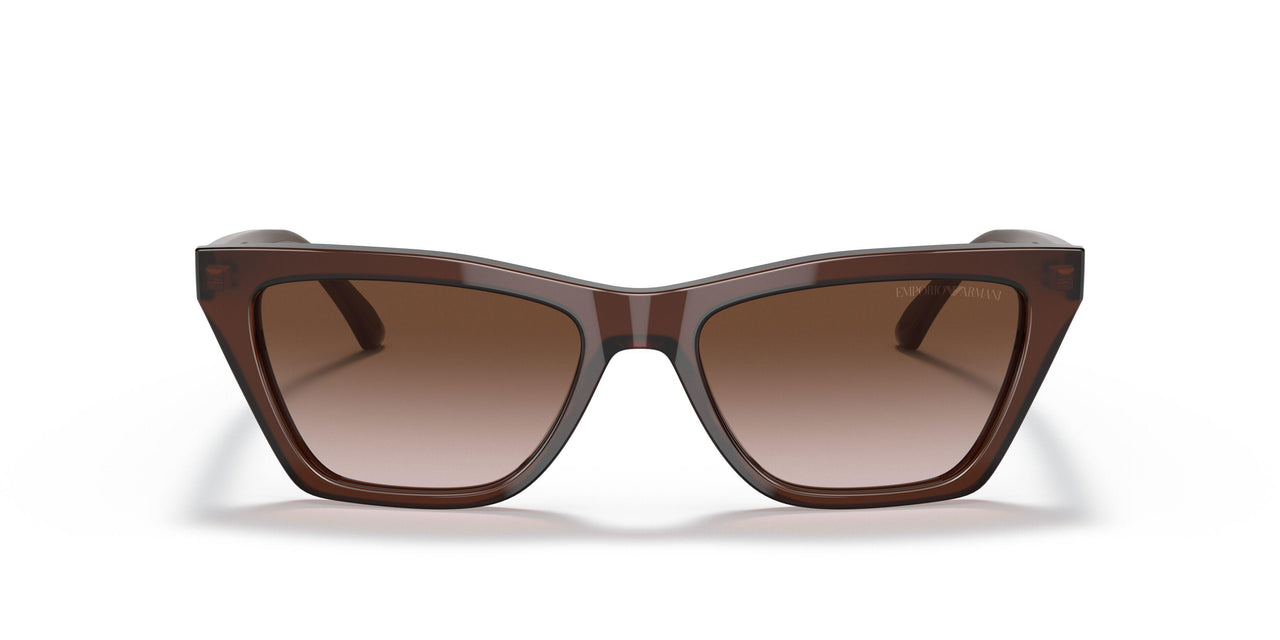 591013 - Brown - Gradient Brown