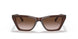 591013 - Brown - Gradient Brown