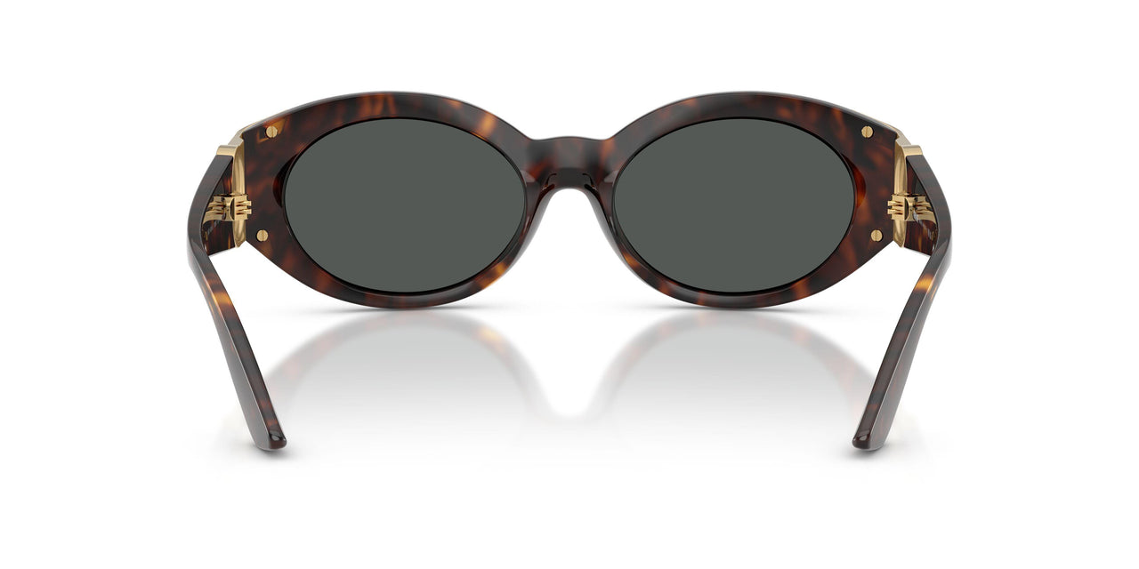 108/87 - Tortoise - Dark Grey