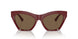 411973 - Red - Dark Brown