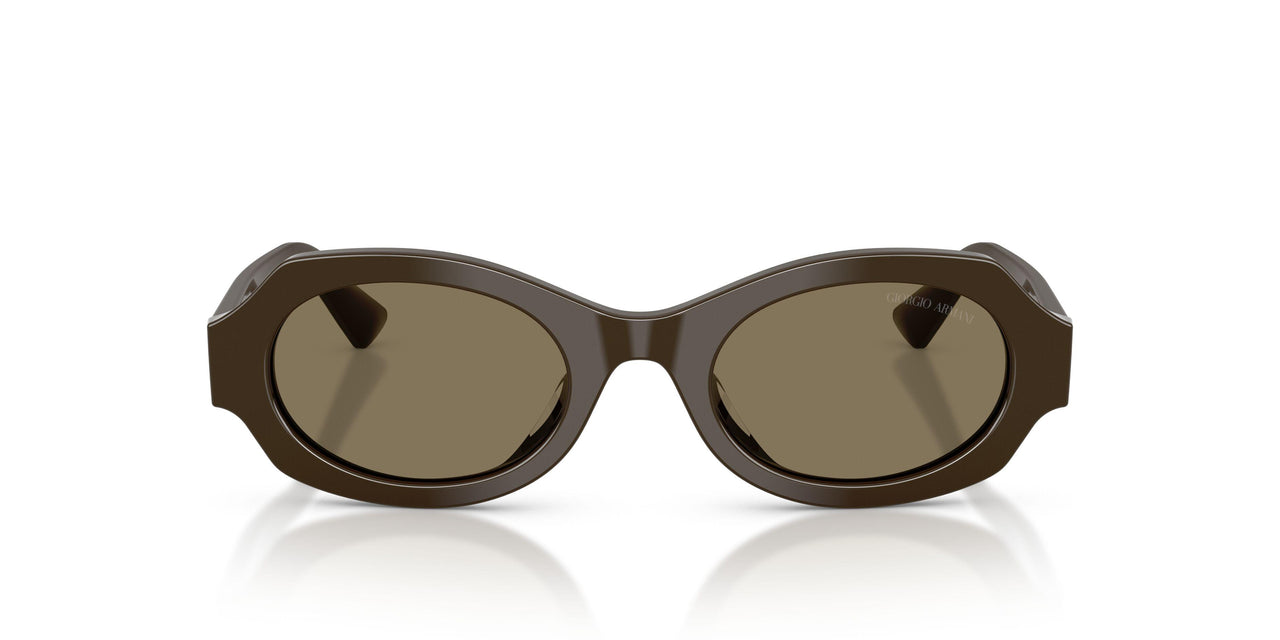 630773 - Brown - Light Brown