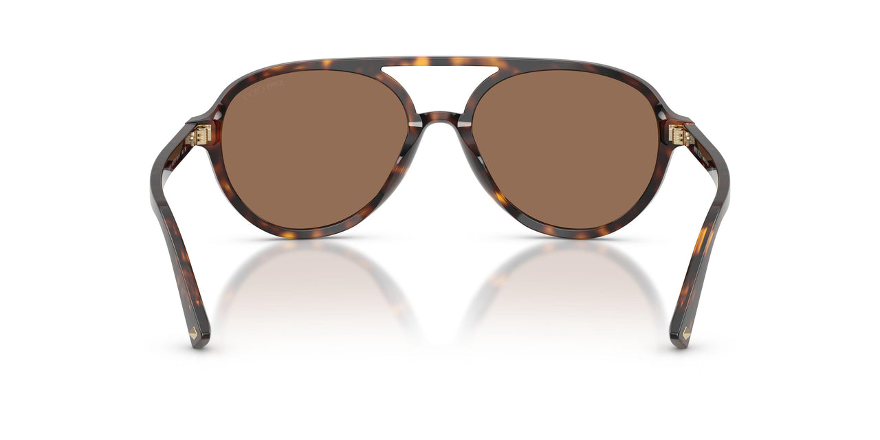 500273 - Tortoise - Dark Brown