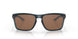 944835 - Brown - Prizm Tungsten Polarized