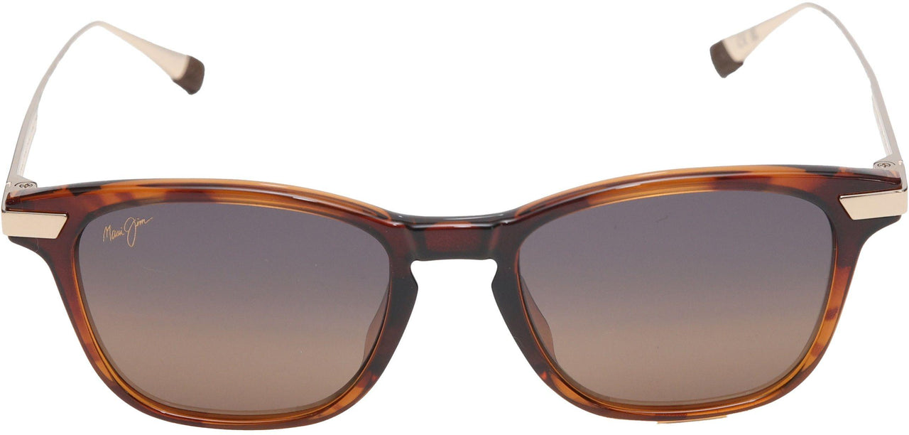 10 - Shiny Dark Havana With Gold - Hcl Bronze