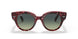 1323BH - Havana - Green Gradient