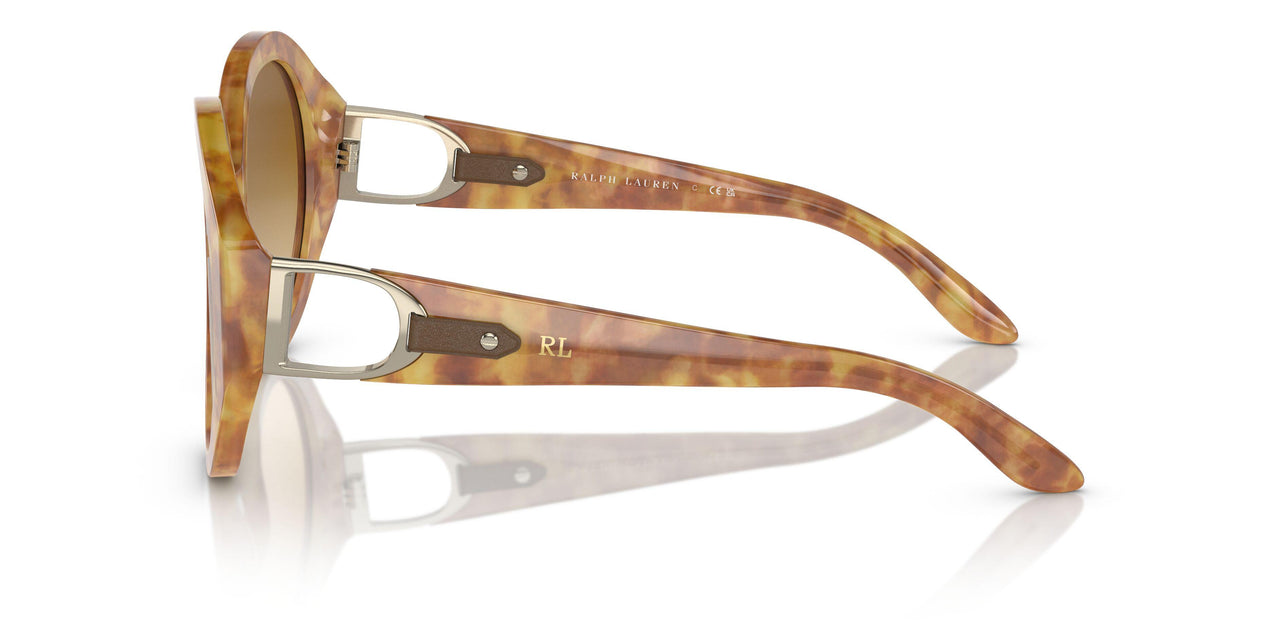 60832L - Tortoise - Gradient Yellow