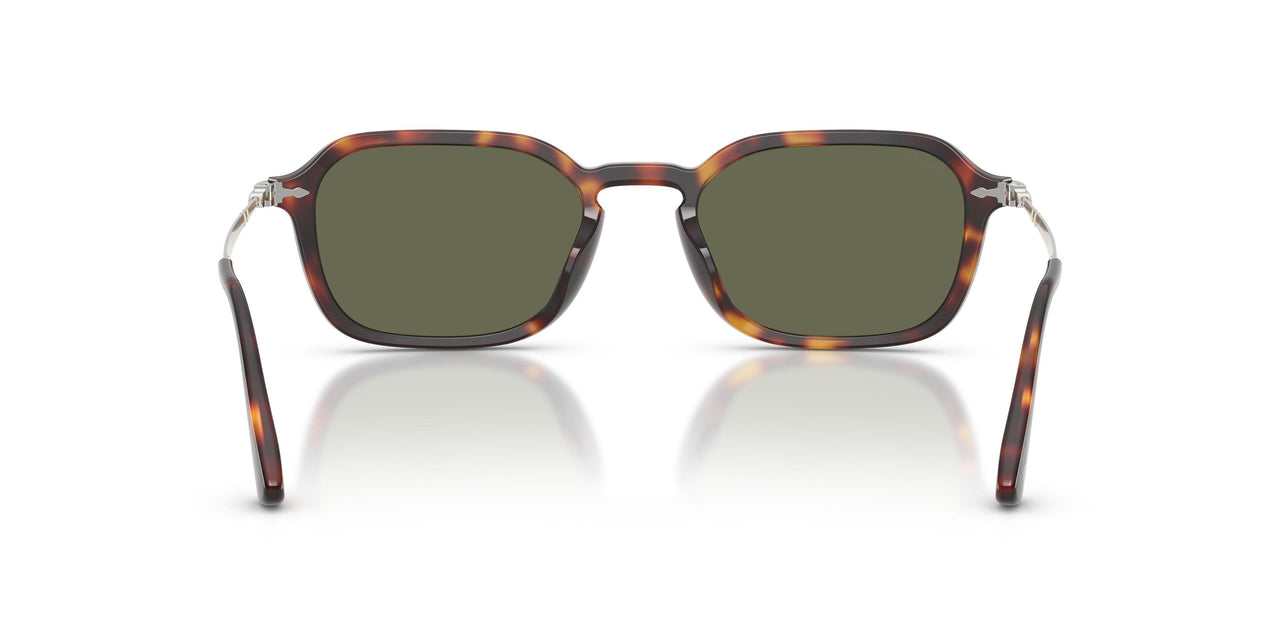 24/58 - Tortoise - Polar Green