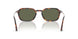 24/58 - Tortoise - Polar Green
