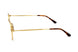 02 - GOLD ANTIQUED HAVANA CHIARO