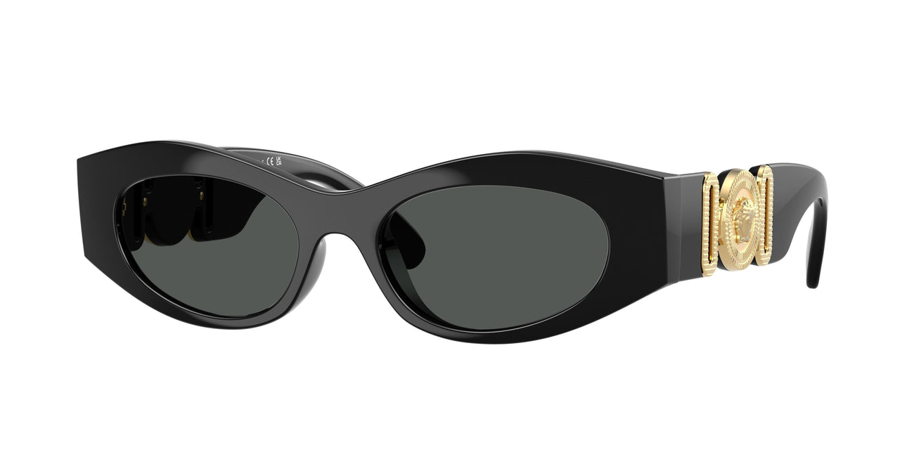 Versace 4480U Sunglasses