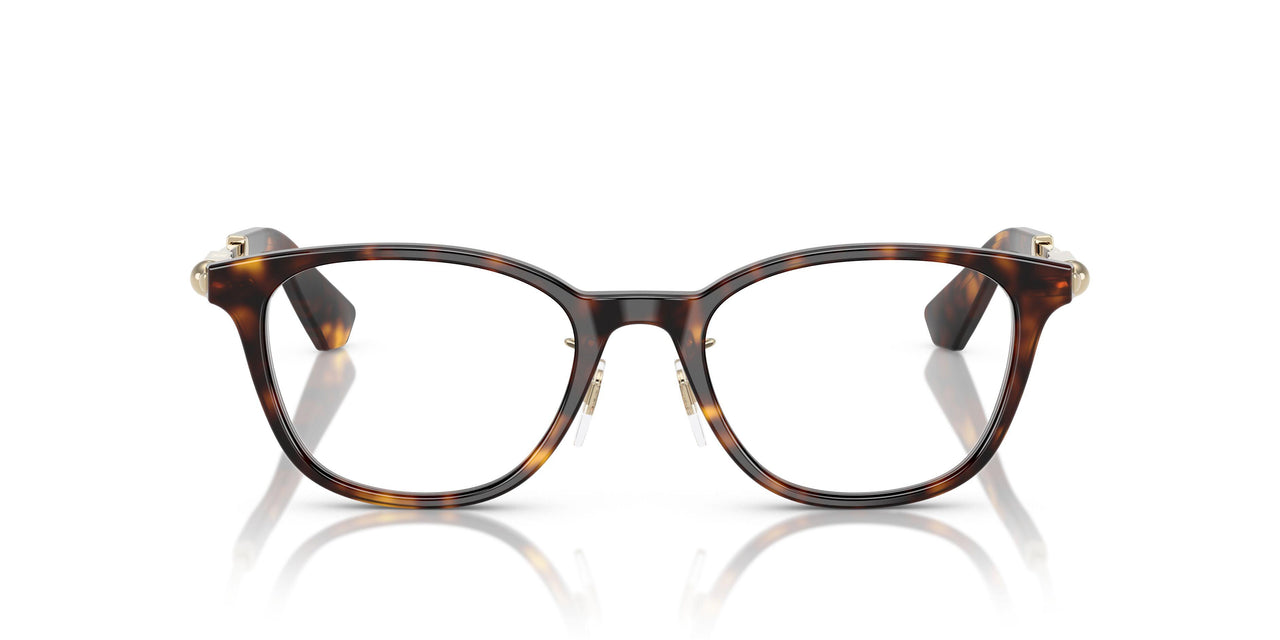 3002 - Brown