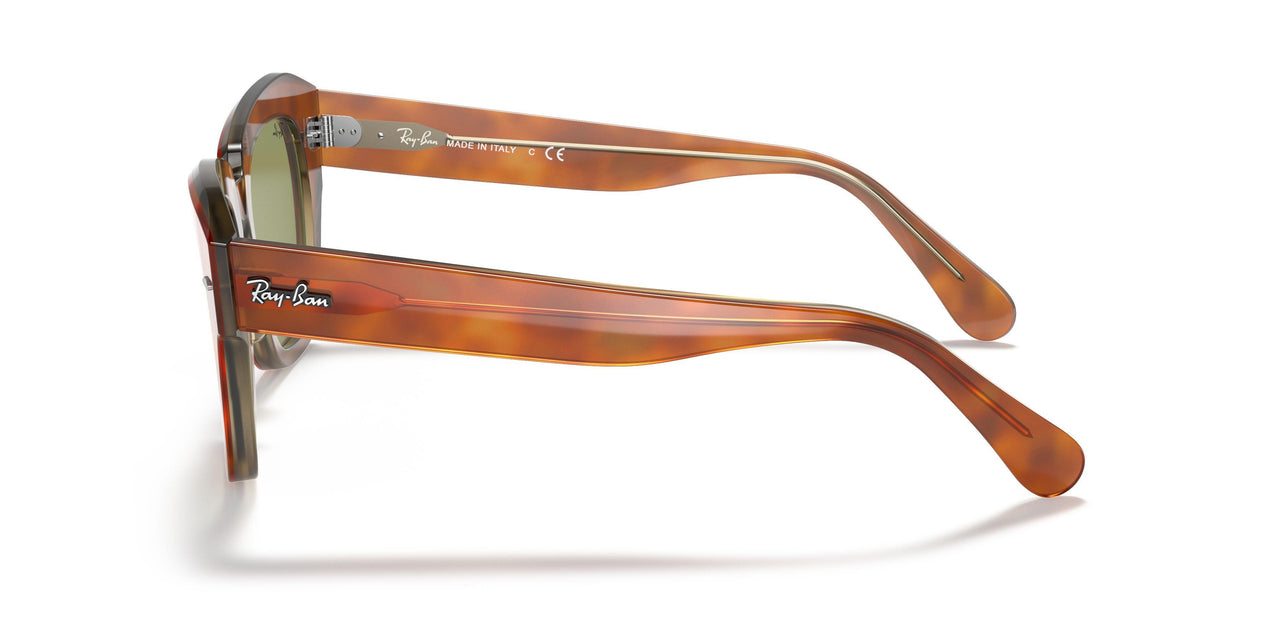 12934E - Top Tortoise/transparent Beige - Bottle Green