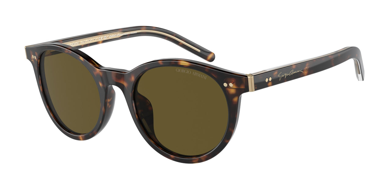 Giorgio Armani 8199U Sunglasses