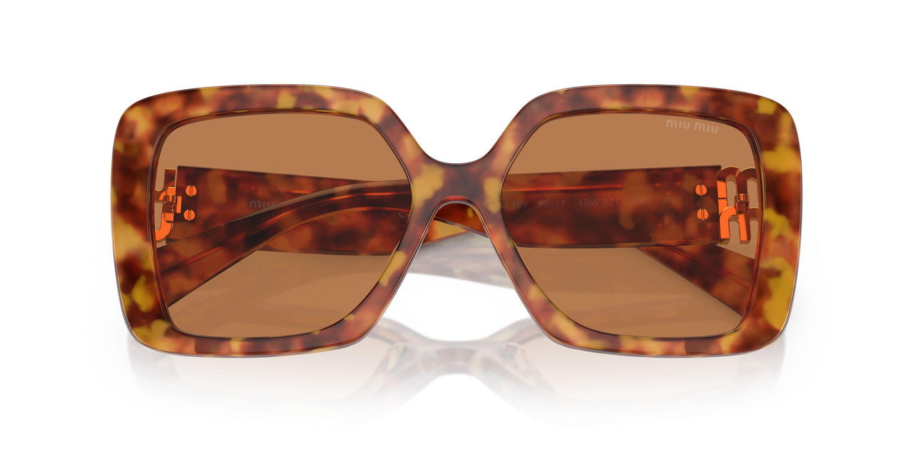 4BW2Z1 - Tortoise - Brown