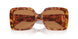 4BW2Z1 - Tortoise - Brown