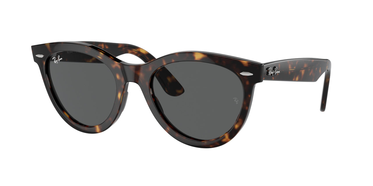 Ray-Ban Wayfarer Way 2241F Sunglasses