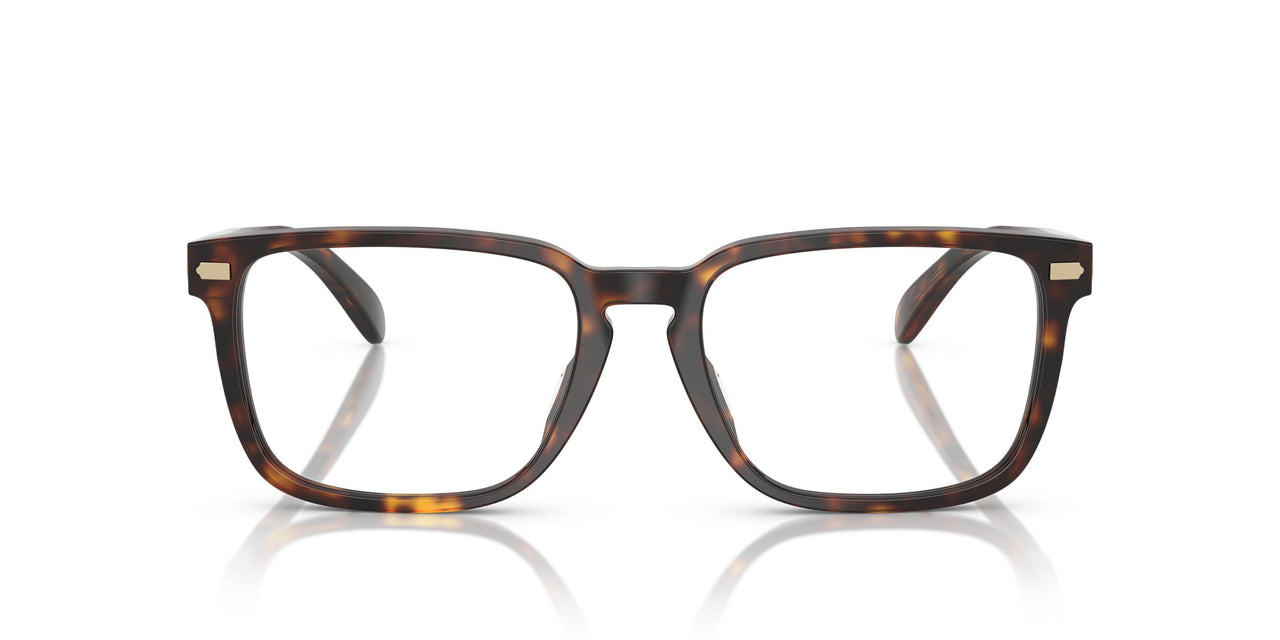 5120 - Tortoise