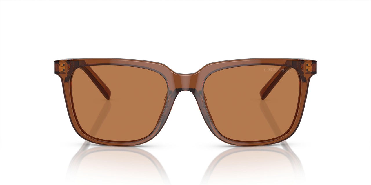 604973 - Brown - Brown