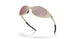 943847 - Brown - Prizm Snow Black Iridium