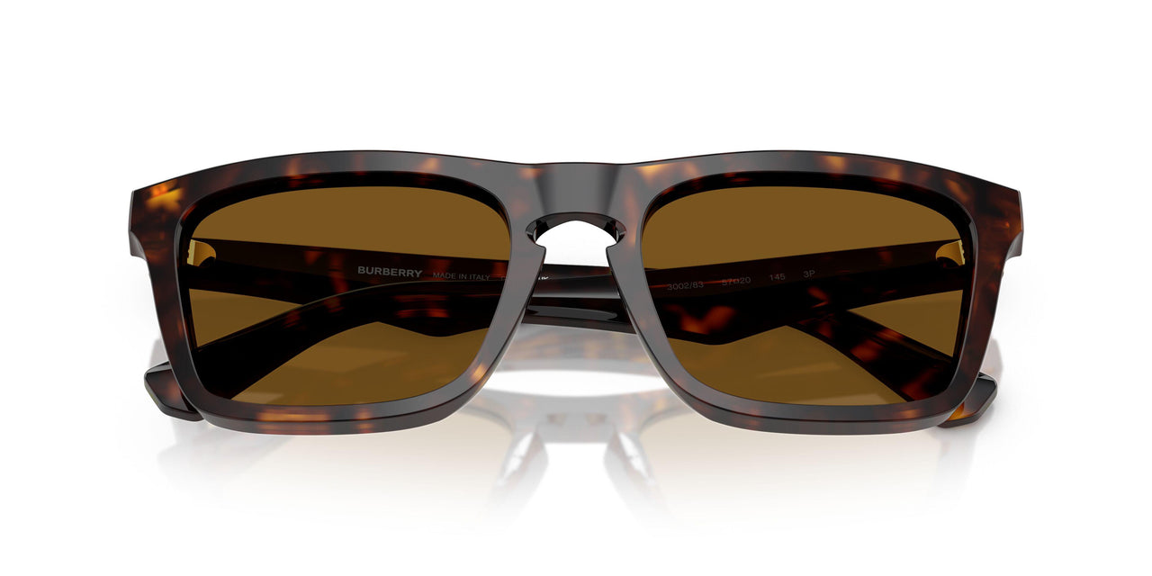 300283 - Brown - Dark Brown Polar