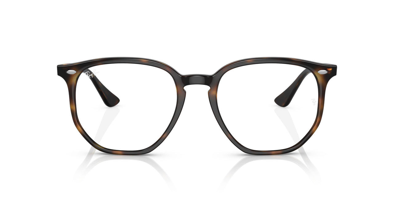 710/M1 - Havana - Photo Clear To Grey/green Quar