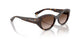 W65613 - Brown - Gradient Brown