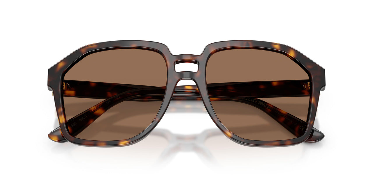 502/73 - Tortoise - Dark Brown