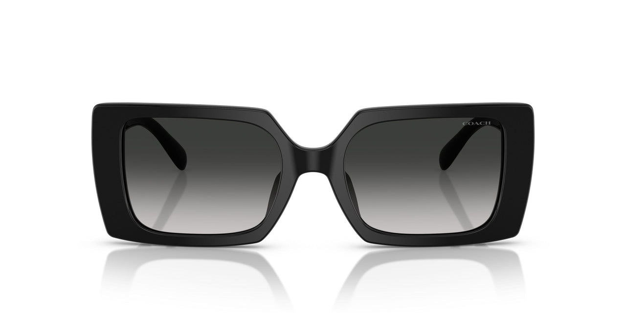 50023C - Black - Grey Gradient