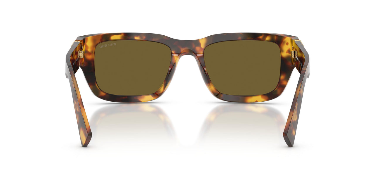 14L09Z - Tortoise - Dark Brown