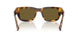 14L09Z - Tortoise - Dark Brown