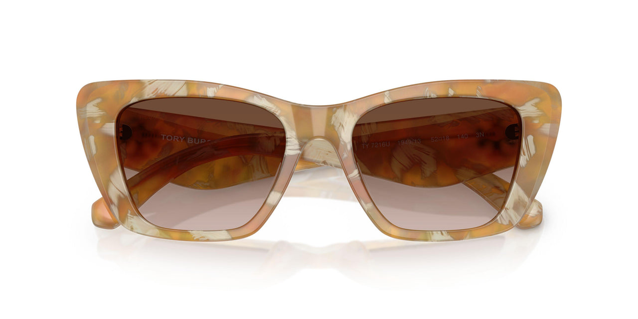 194913 - Tortoise - Brown Gradient