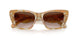 194913 - Tortoise - Brown Gradient