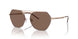 301173 - Gold - Dark Brown
