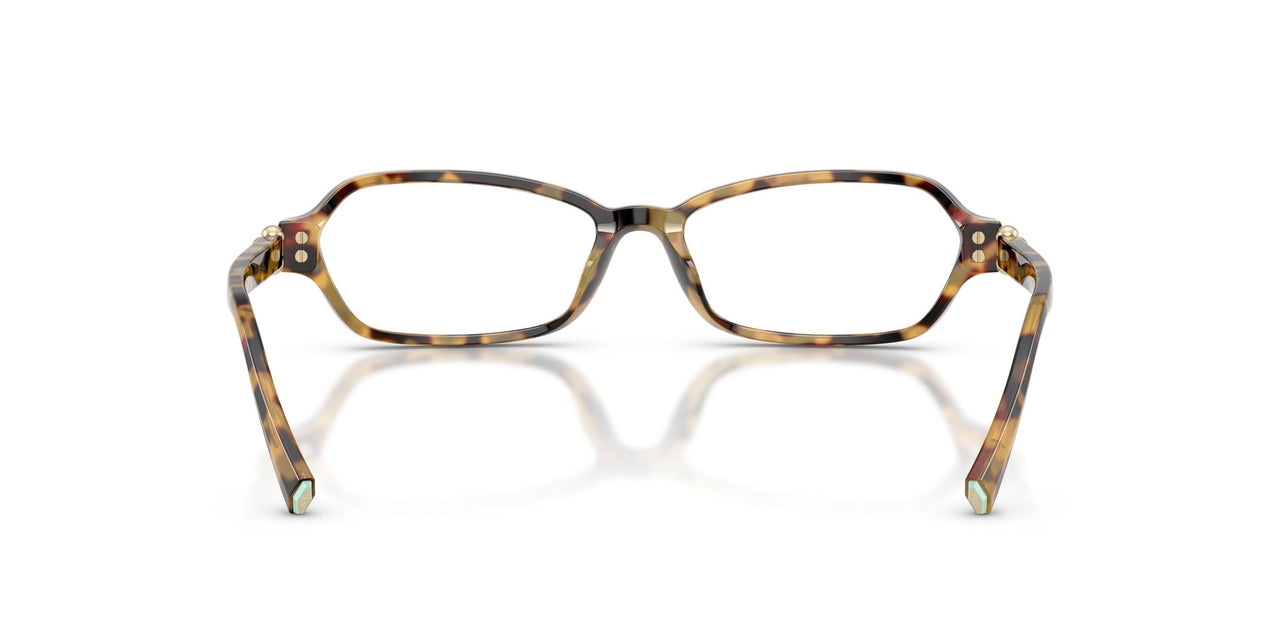 8064 - Tortoise