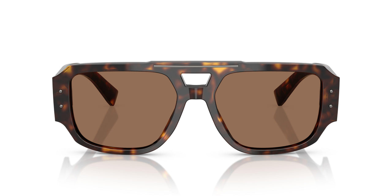 502/73 - Tortoise - Dark Brown