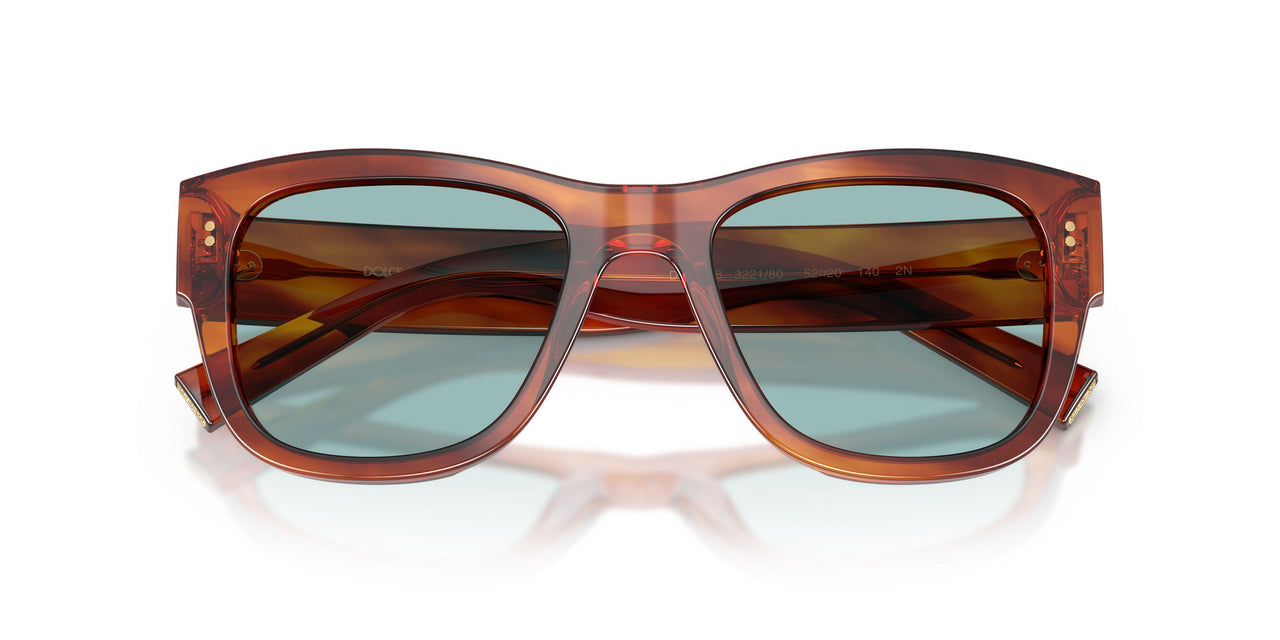 322180 - Tortoise - Blue