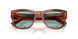 322180 - Tortoise - Blue