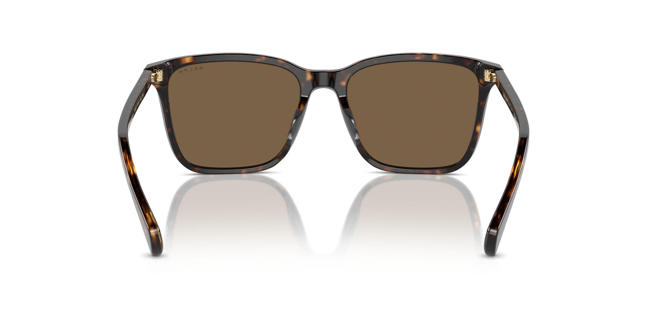 500387 - Brown - Brown
