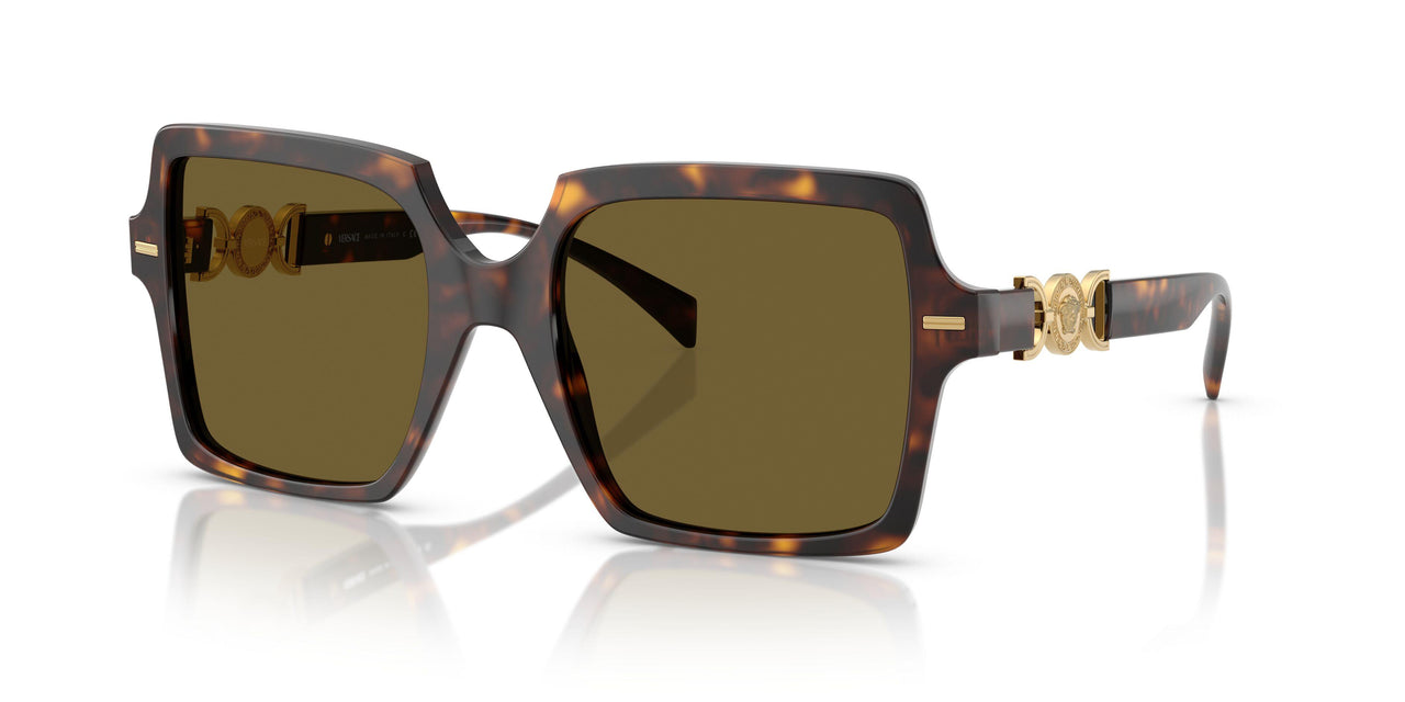108/73 - Tortoise - Dark Brown