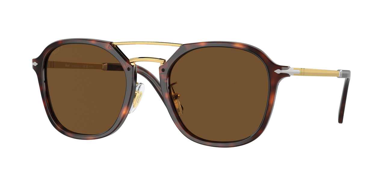 24/57 - Tortoise - Polar Brown