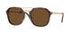 24/57 - Tortoise - Polar Brown