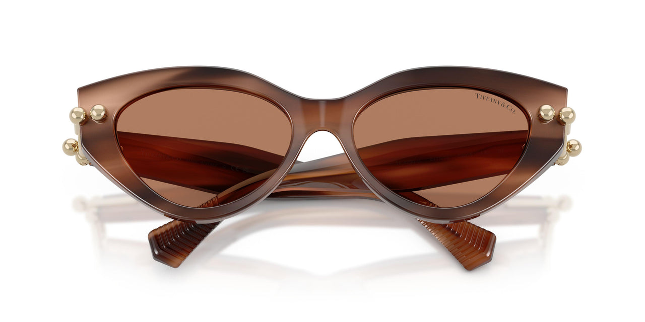 847573 - Tortoise - Solid Brown