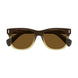 004 - Brown - Brown